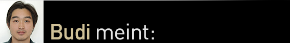 Head_meinungen_budi
